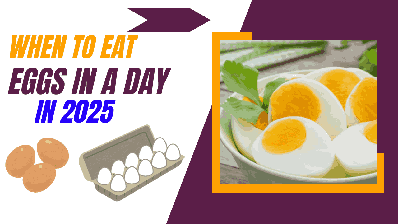 When to Eat Egg in a Day